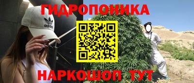 шишки Малоярославец