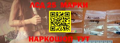 гидропоника Балашиха