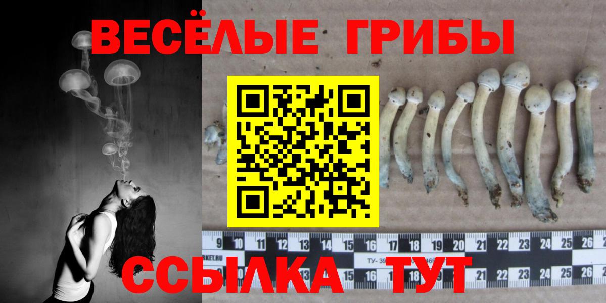 Галлюциногенные грибы GOLDEN TEACHER  Псилоцибиновые грибы MAGIC MUSHROOMS  Гудермес  Вход с VPN 