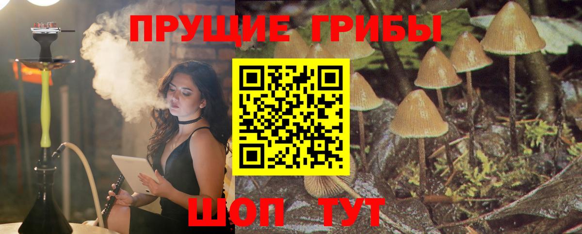 Галлюциногенные грибы Cubensis  Гудермес 